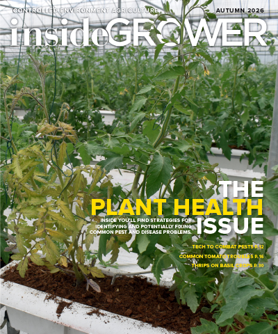Tomato Troubles Start Before Symptoms Show