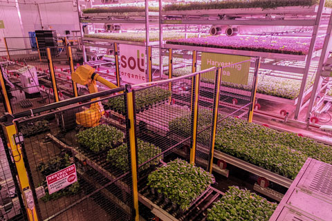 From Farm to Vertical