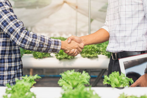 Building A Vertical Farm Team