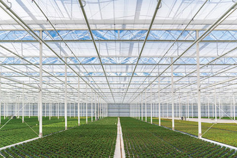 Extending the Growing Season