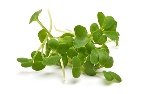 Microgreens: What Do Consumers Really Want?