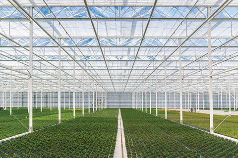 At the Intersection of Profitability & Sustainability