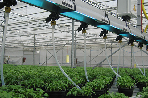 Tools for Pest Management