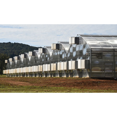 CEA Greenhouses