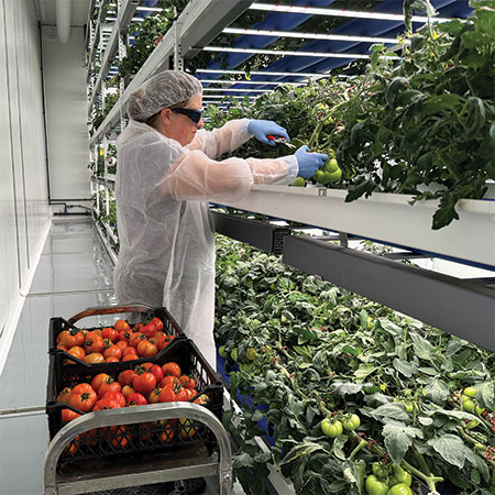 Grow-Tec