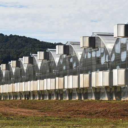 Gothic Arch Greenhouses