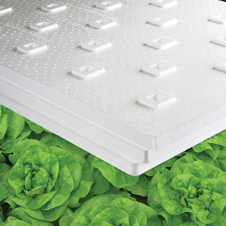 Hortiblock Tray
