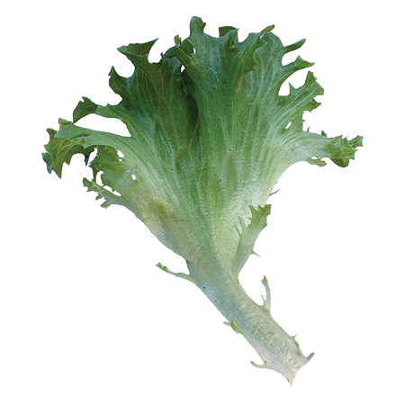 Crismari